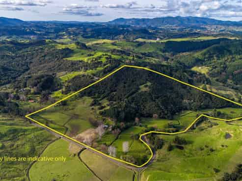 113 Puhata Road, Herekino