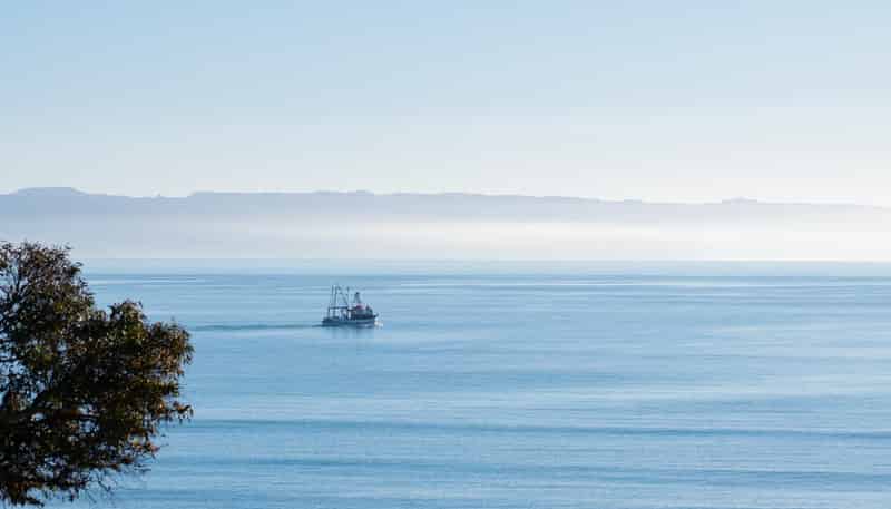 6/15 Hardinge Road, Ahuriri