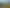 Flexible options in Kauri – Office/Workshop/Yard