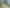 1/81 Luanda Drive, Ranui