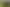 2.8ha prime Bombay land