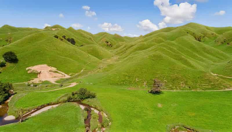  Mangaraupiu Road, Eketahuna