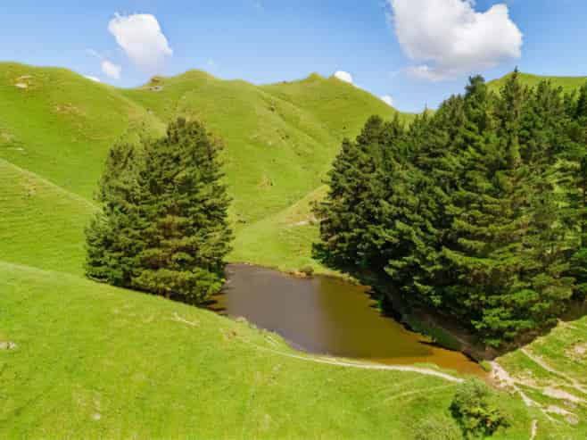  Mangaraupiu Road, Eketahuna
