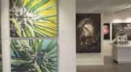 Open gallery