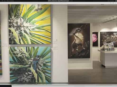 Flagstaff Art Gallery & Framing Business