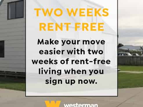 40 Fitchett Street, Palmerston North Central