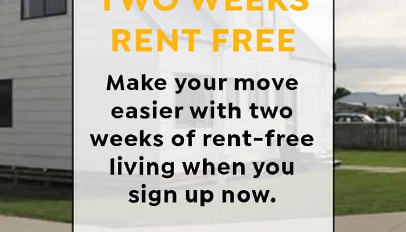 40 Fitchett Street, Palmerston North Central