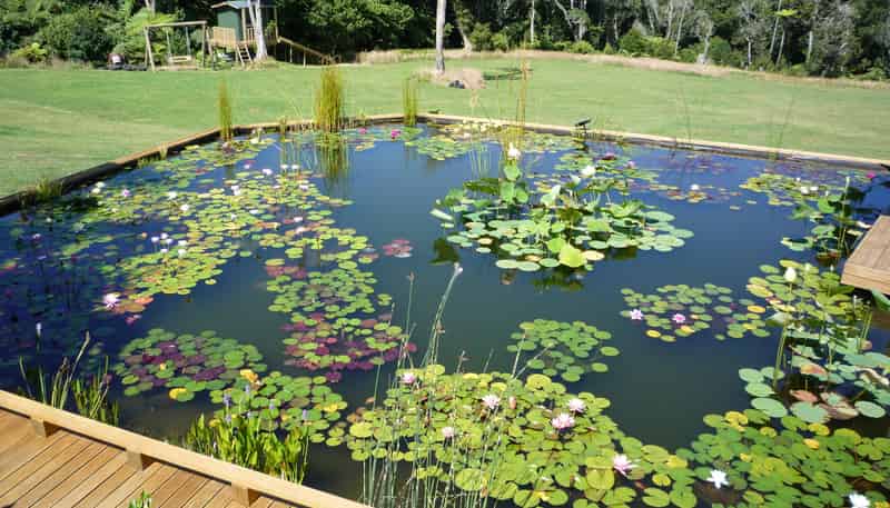  Glenbogal Aquatic, Katikati