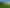 1088 Scenic Drive, Swanson