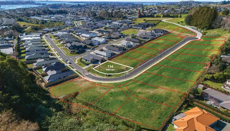 Lot 134, 95 Hass Drive, Quail Ridge Estate, Ohauiti