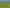 851 Awamate Road, Frasertown