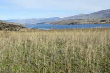 38 Lakefront Terrace, Northburn, Cromwell