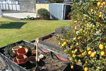 50 Lismore Street New Plymouth, Merrilands