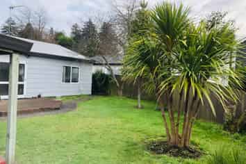 81B Cameron road, Hamilton East