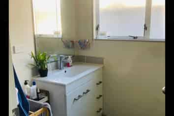 81B Cameron road, Hamilton East