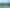 Lot 97 North Cove, Kawau Island