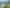 Lot 97 North Cove, Kawau Island
