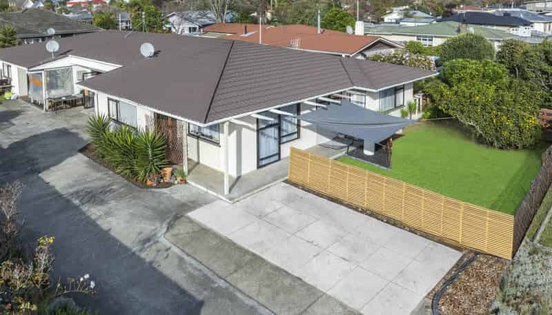 1/1017 Tomoana Road, Mahora