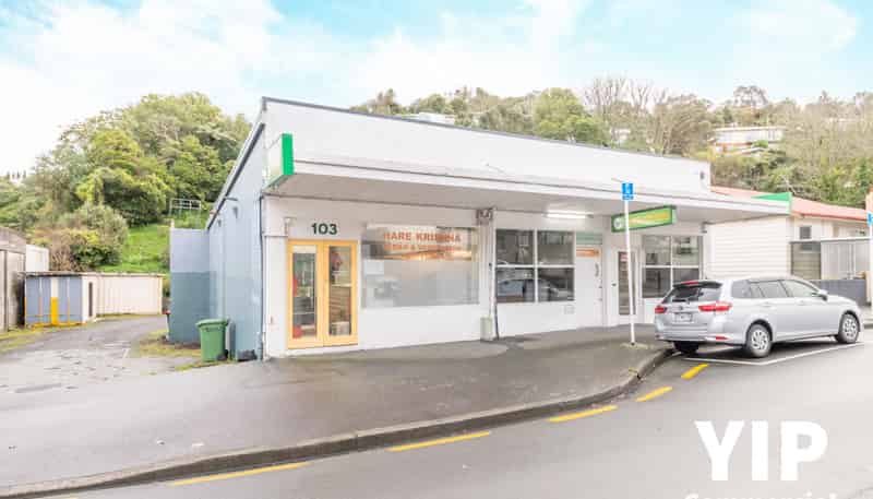 103 Newlands Road, Newlands