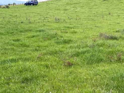 Lot 1/2303 South Road, Okato