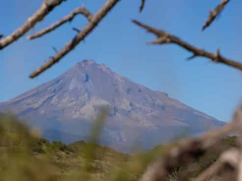 Lot 1/2303 South Road, Okato