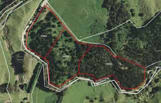 1028 A,B,C McIvor Road, Rotoma