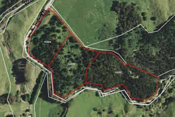 1028 A,B,C McIvor Road, Rotoma