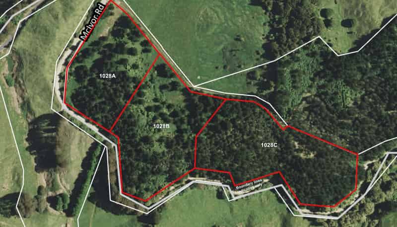 1028 A,B,C McIvor Road, Rotoma