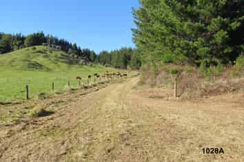 1028 A,B,C McIvor Road, Rotoma