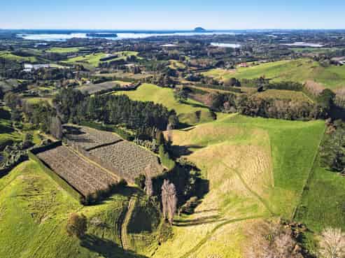 400 Old Highway, Whakamarama