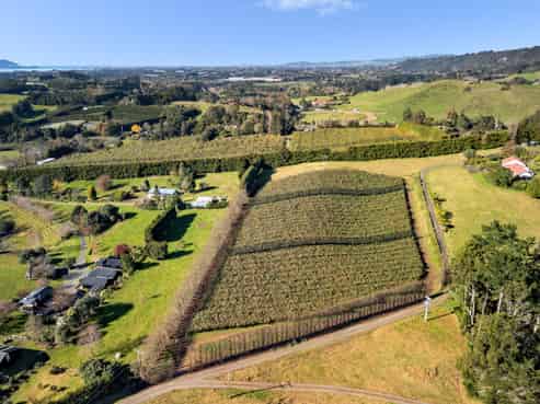 400 Old Highway, Whakamarama