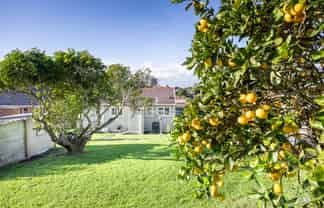 34 Plunket Street, Dargaville