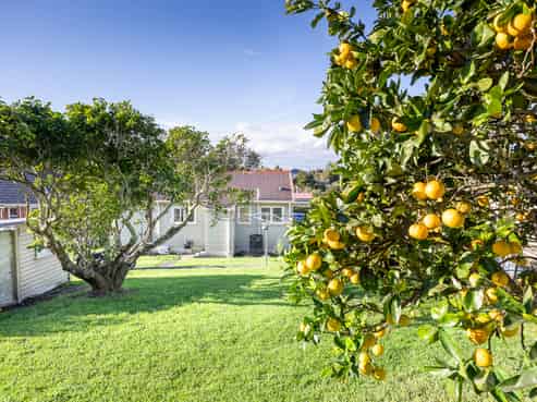 34 Plunket Street, Dargaville