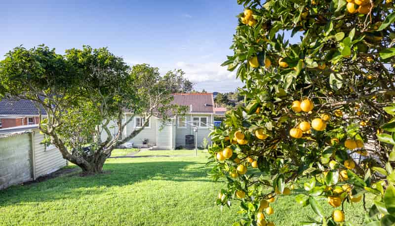 34 Plunket Street, Dargaville