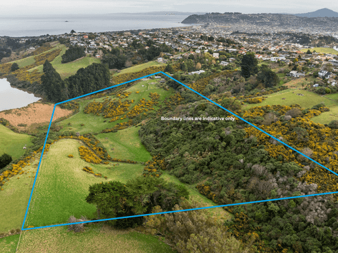 15 Darnell Street, Andersons Bay