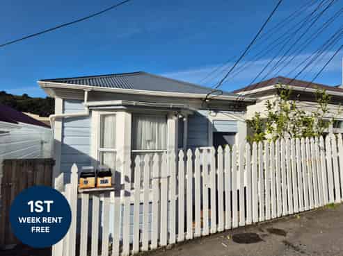 19 Hanson Street, Mount Cook