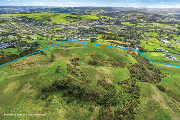 Receivership Sale - Approved 76-Lot Residential Development