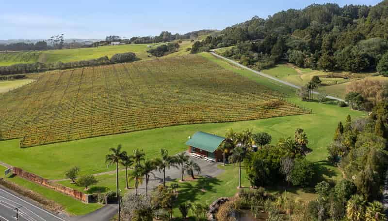 460 Matakana Road, Matakana