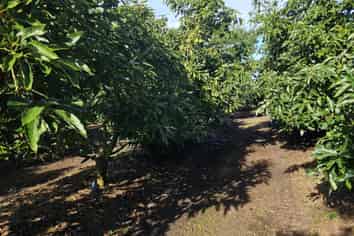  Heath Road, Waiharara