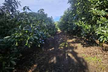  Heath Road, Waiharara