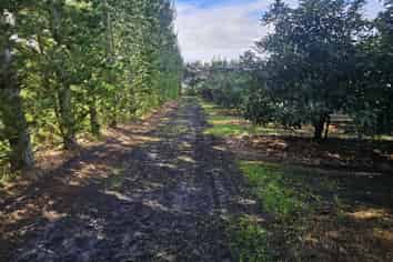  Heath Road, Waiharara