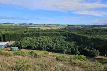  Heath Road, Waiharara