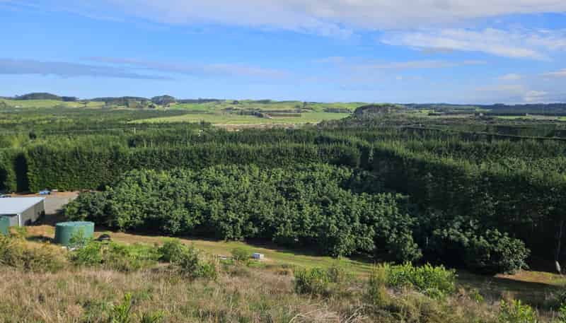  Heath Road, Waiharara