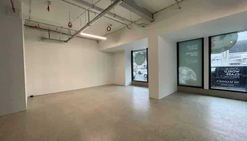 3G/155 Beaumont Street, Wynyard Quarter