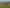 976 Old Te Aroha Road, Matamata