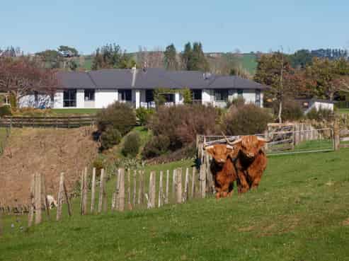 976 Old Te Aroha Road, Matamata