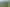 976 Old Te Aroha Road, Okauia