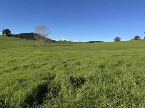 Lot 4 Greenhill Road, Ruawai