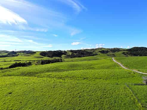 Lot 5 Greenhill Road, Ruawai