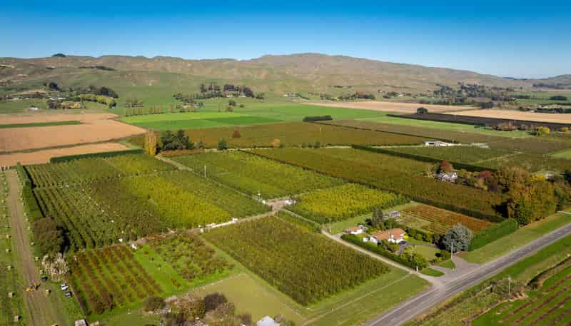 83 Mount Erin Road, Havelock North